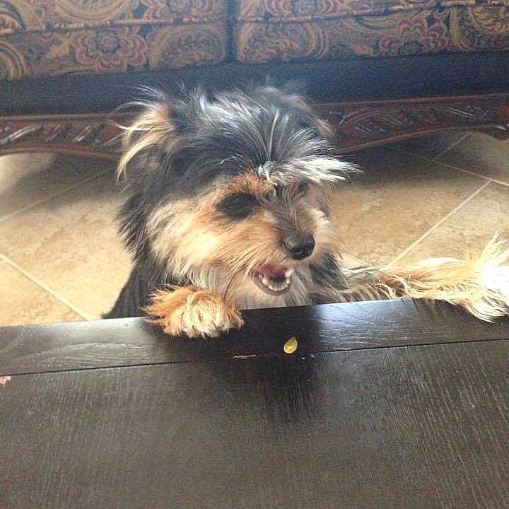 Berry is registered to the contest to win money with this photo: