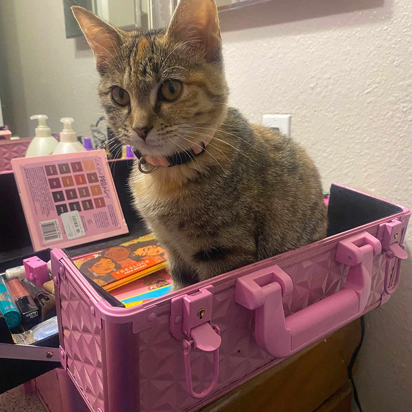 Sony is registered to the contest to win money with this photo: beauty_products, cat, closeup, container, cosmetics, countertop, curious, domestic_animal, drawer, ears, feline, fur, indoor, makeup_case, mirror, pet, pink_collar, tabby_cat, vanity, whiskers