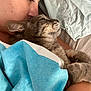 animal, bed, blanket, cat, closeup, comfort, cozy, cuddling, face, fur, human, indoor, person, pet, relaxation, resting, sleeping, snuggling, soft, tabby_cat
