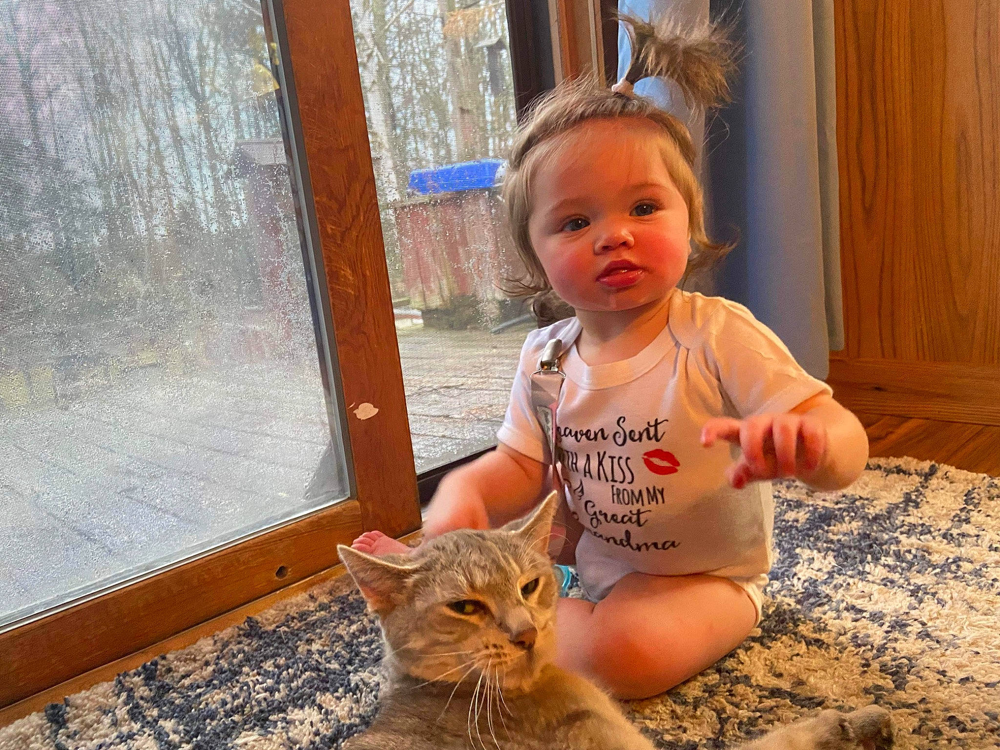 Lillian is registered to the contest to win money with this photo: baby_toddler_clothing, carnivore, cat, child, domestic_short_haired_cat, fawn, felidae, flooring, fur, hair, happy, iris, nose, person, sitting, skin, small_to_medium_sized_cats, tail, toddler, whiskers