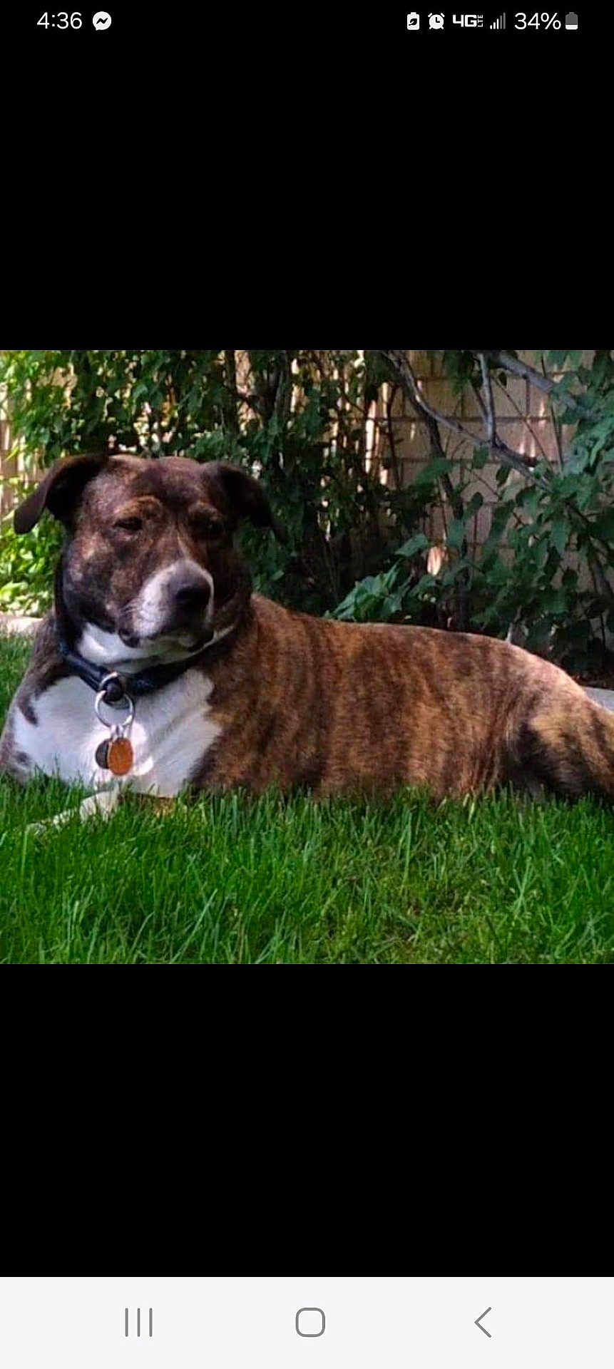 Dakota