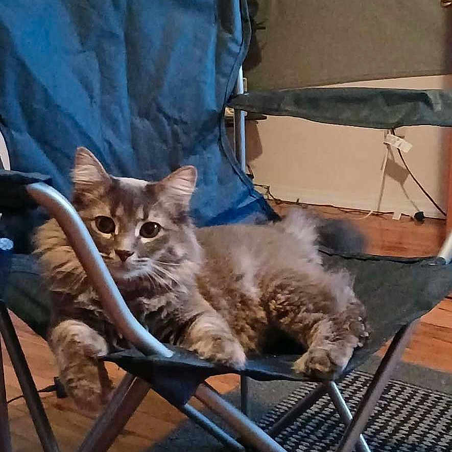 Leo