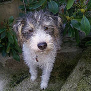 Gribouille participe au concours pour gagner de l'argent avec cette photo :