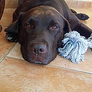 Dipsy participe au concours pour gagner de l'argent avec cette photo :