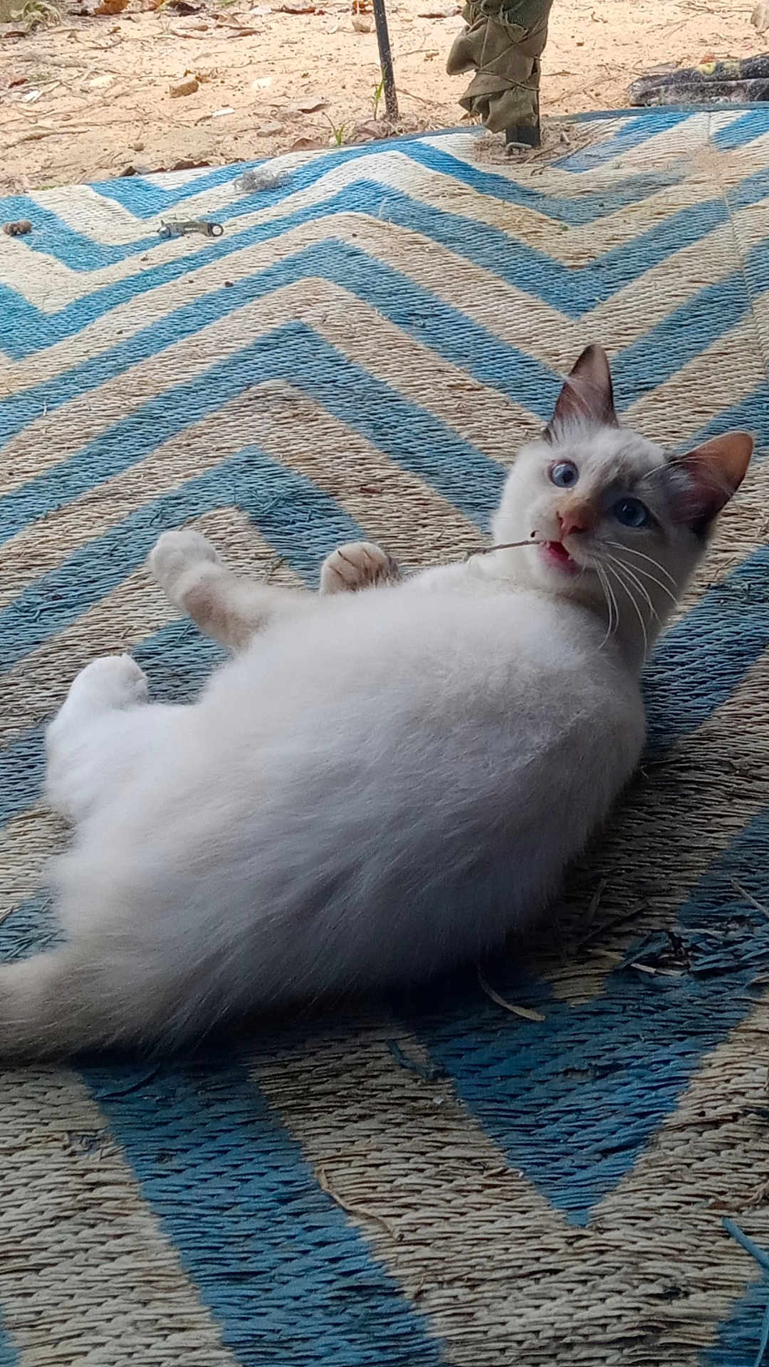 Fluffy