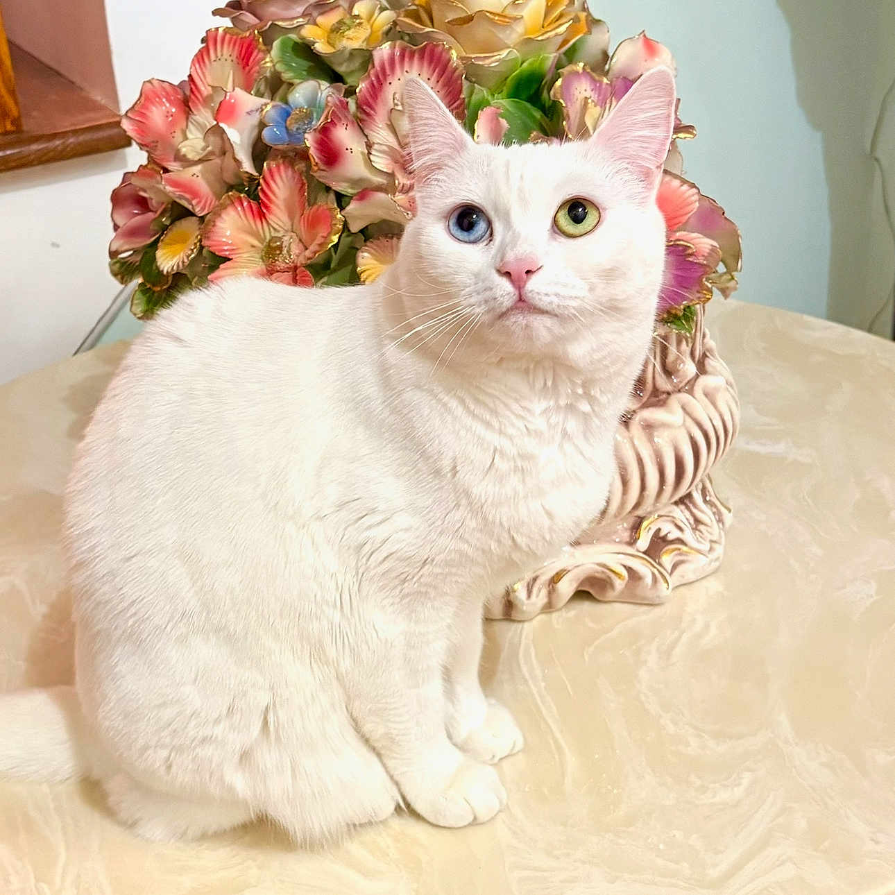 Lily
