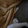 Nalla a rejoint le concours — aidez-le/la à gagner de superbes lots ! black_cat, blanket, cat, comfort, couch, cozy, fabric, feline, home, indoor, nap, pet, pink_nose, relaxing, sleeping, soft_texture, stretching, warm, whiskers, white_cat