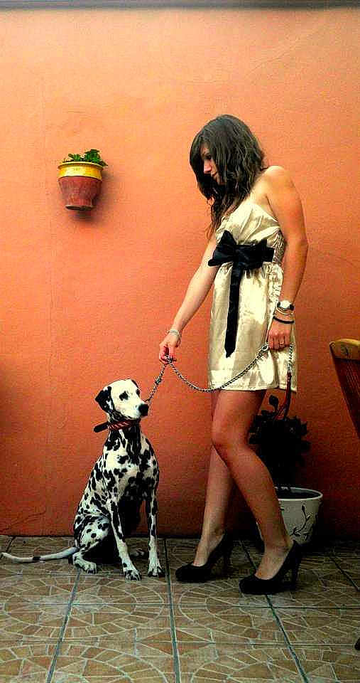 Rumba