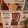 cat, orange_cat, box, cardboard_box, kitchen, floor, blender_box, curious, pet, indoor, animal, feline, container, orange_fur, sitting, looking, home, playful, cute, domestic
