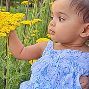 Aurelia joined the competition — help win amazing prizes! baby, blue_dress, child, curious, daylight, dress, face, flower, garden, greenery, growth, hand, nature, outdoor, person, plant, portrait, summer, toddler, yellow_flower