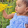 baby, blue_dress, child, curious, daylight, dress, face, flower, garden, greenery, growth, hand, nature, outdoor, person, plant, portrait, summer, toddler, yellow_flower