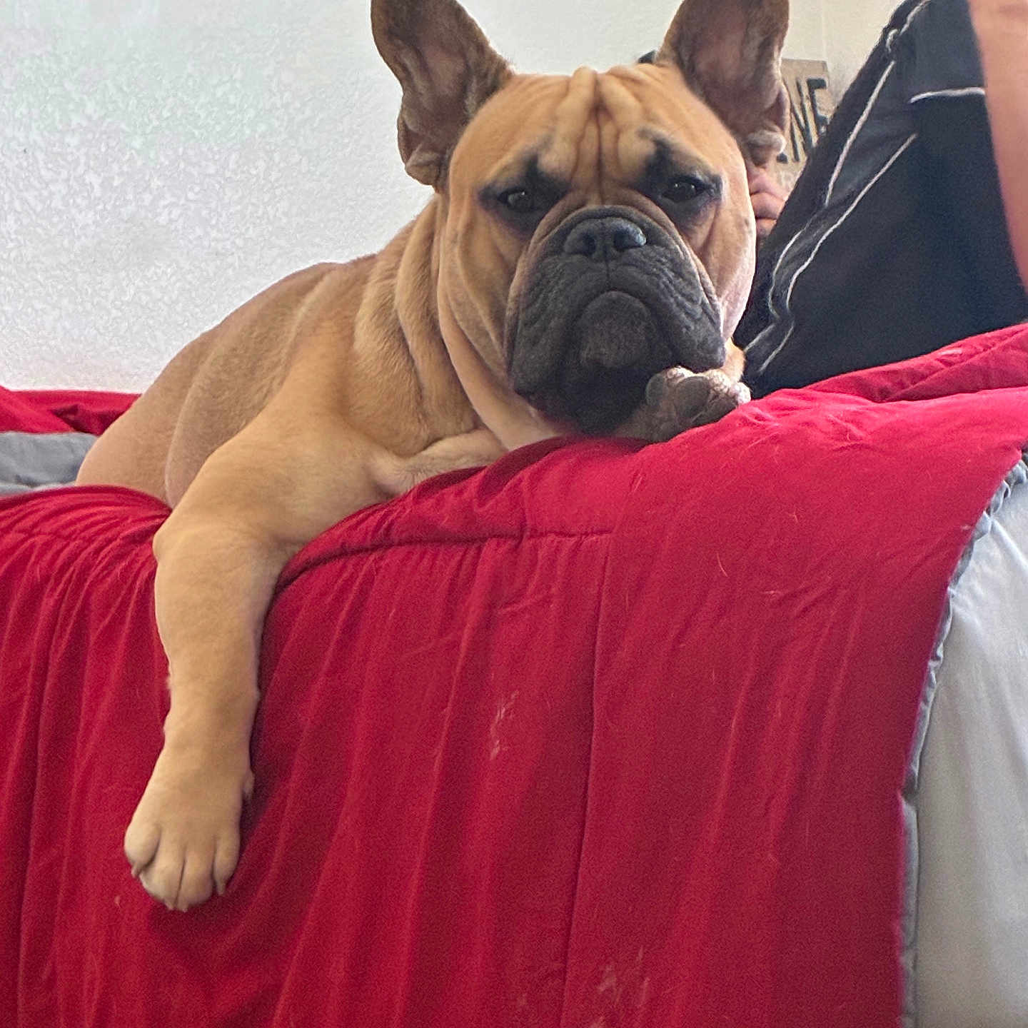Milo