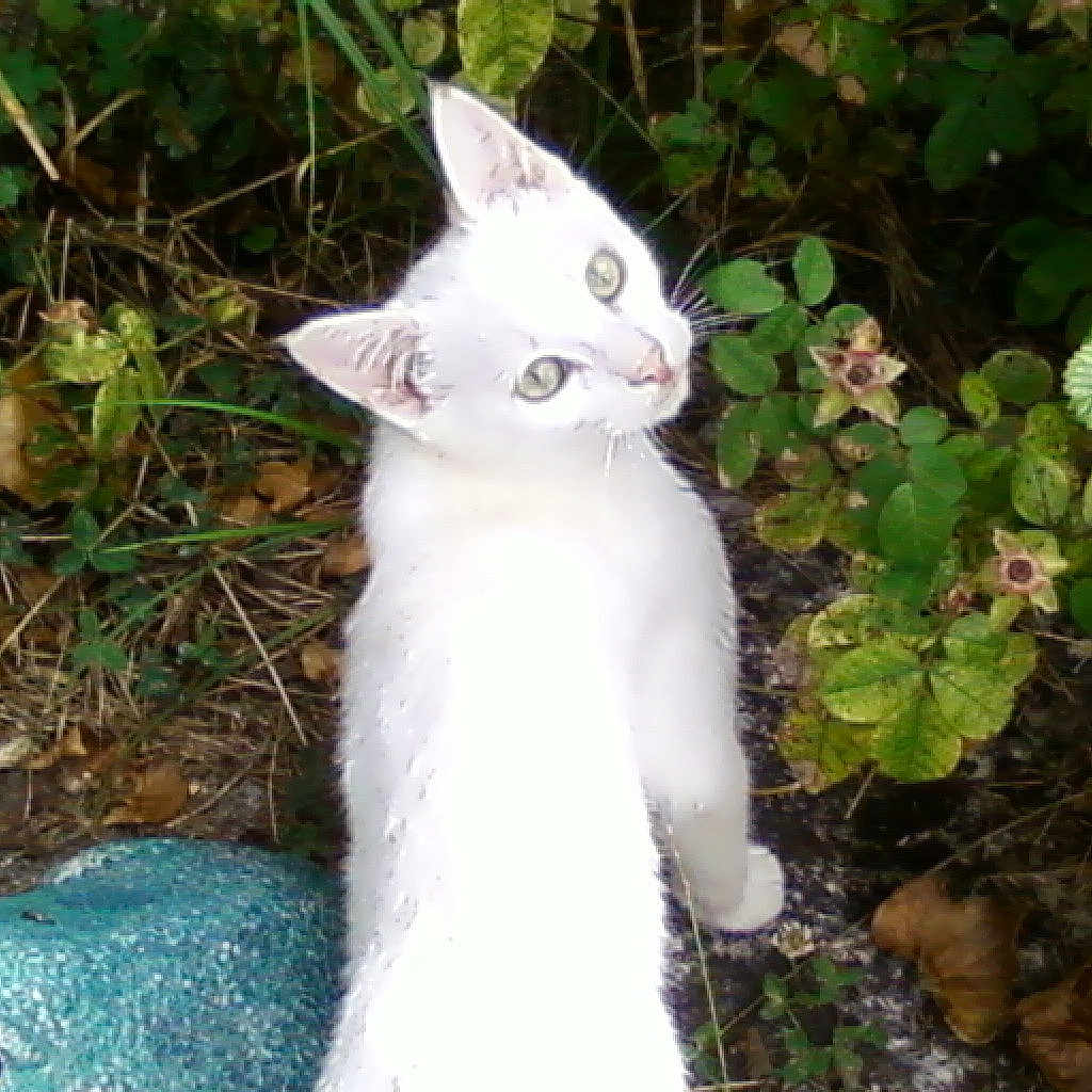 Bikini a rejoint le concours — aidez-le/la à gagner de superbes lots !