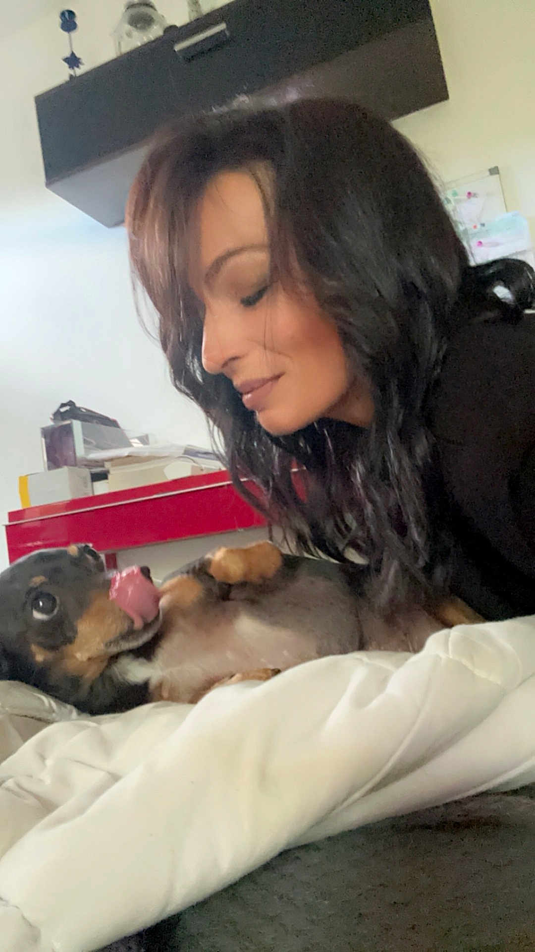 Kinou a rejoint le concours — aidez-le/la à gagner de superbes lots ! woman, dog, indoor, bed, blanket, smile, pet, affection, playful, hair, face, fur, tongue, cute, relaxing, home, furniture, casual, interaction, comfort