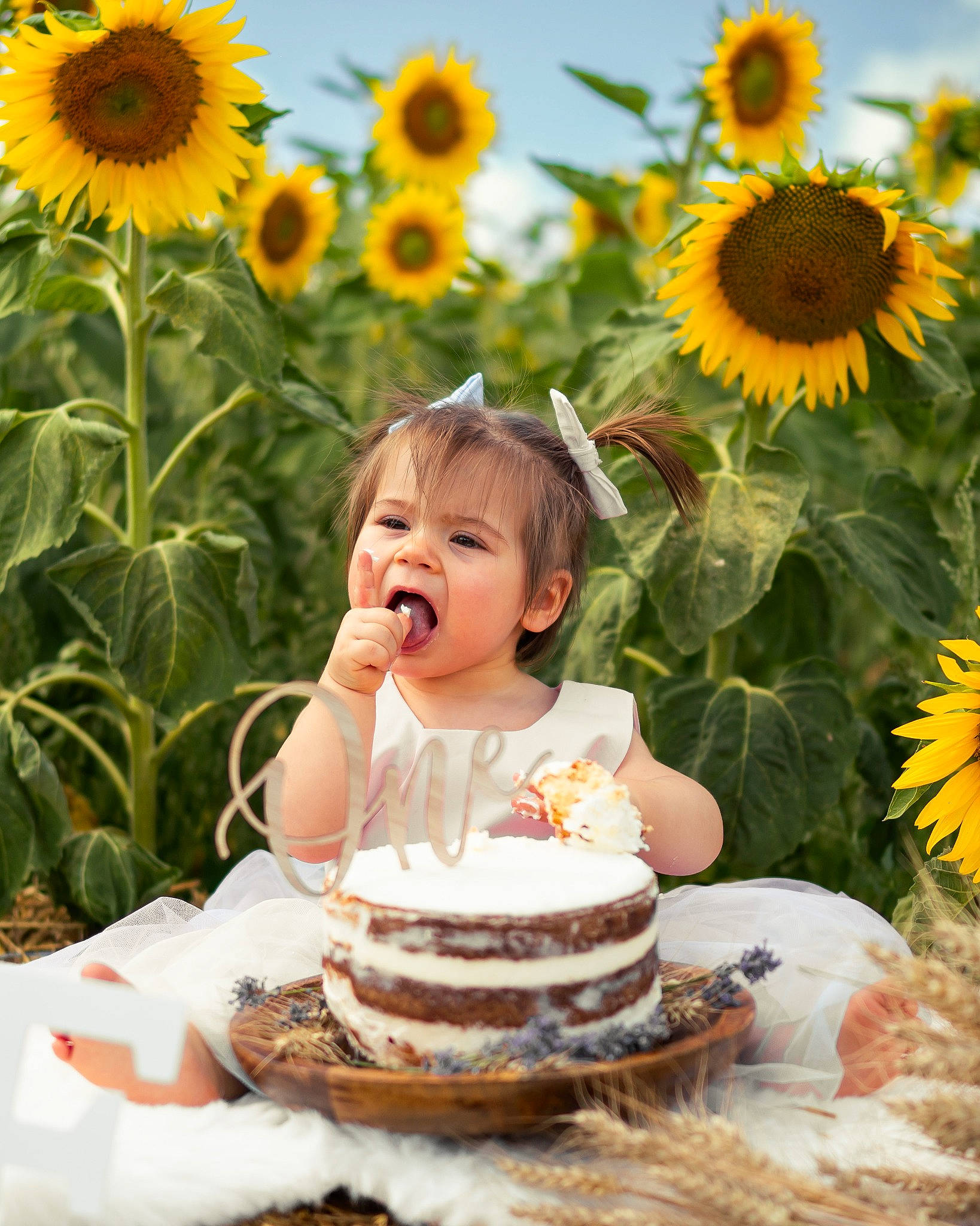 Tessa participe au concours pour gagner de l'argent avec cette photo : annual_plant, birthday_cake, cake, cake_decorating, cuisine, dessert, flower, flowering_plant, food, grass, green, happy, people_in_nature, person, petal, plant, sugar_cake, sunflower, tableware, toddler