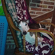 Thésée a rejoint le concours — aidez-le/la à gagner de superbes lots !