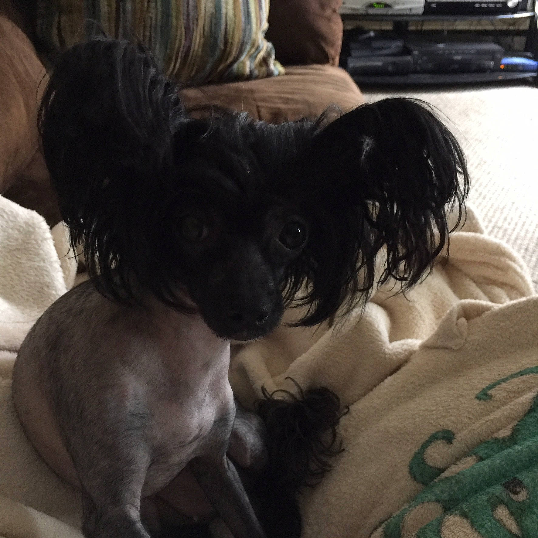 Gabby