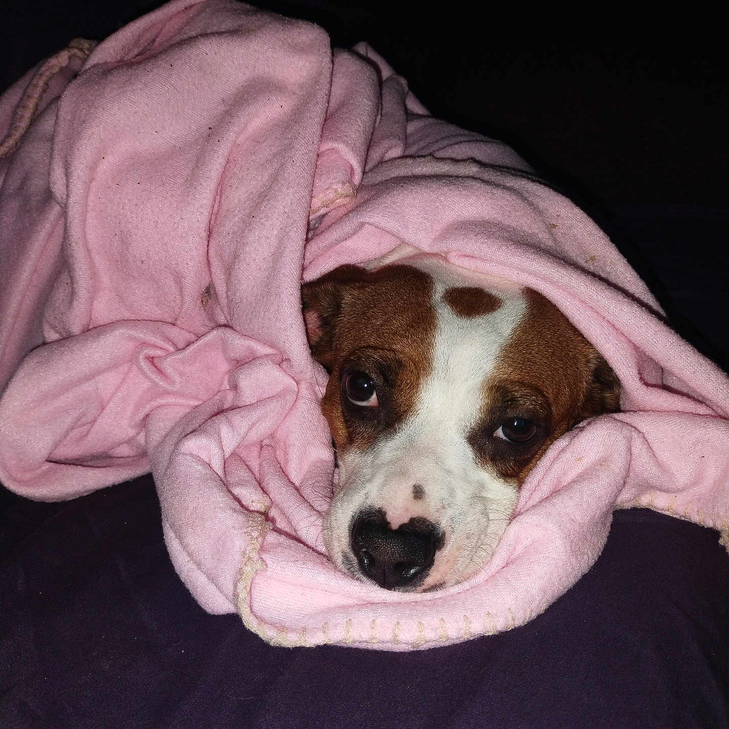 Bella