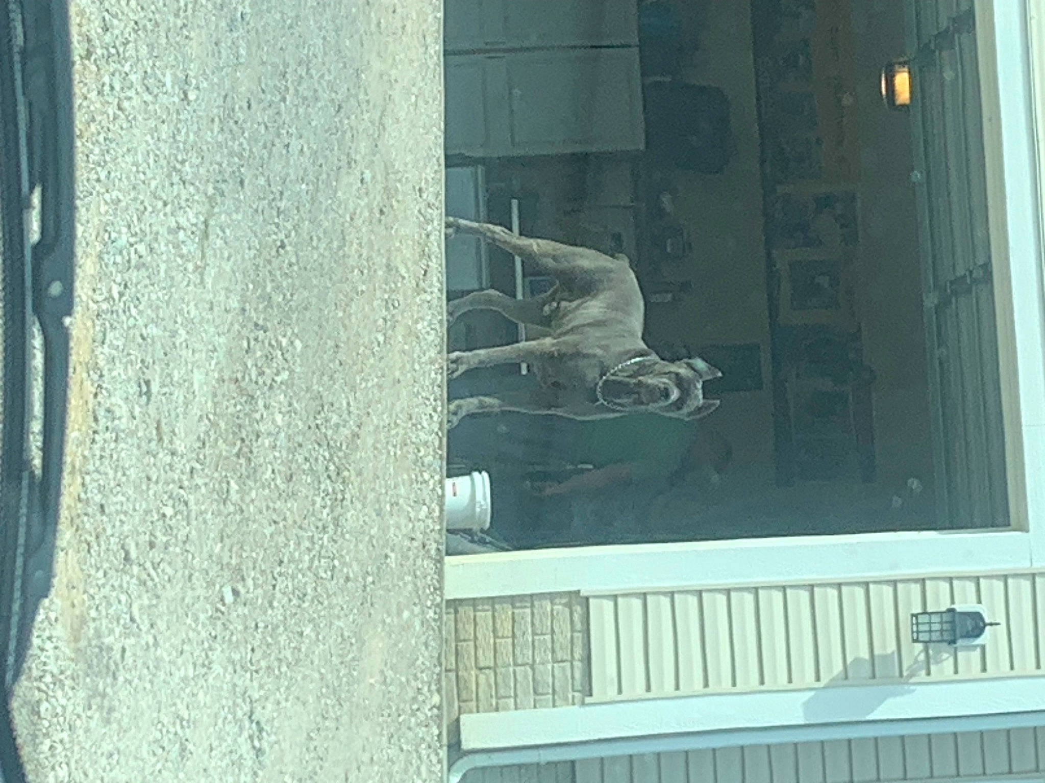 Sarge joined the competition — help win amazing prizes! art, auto_part, building, composite_material, concrete, door, facade, gas, glass, metal, room, sash_window, sculpture, statue, tints_and_shades, vehicle_door, water, window, wood