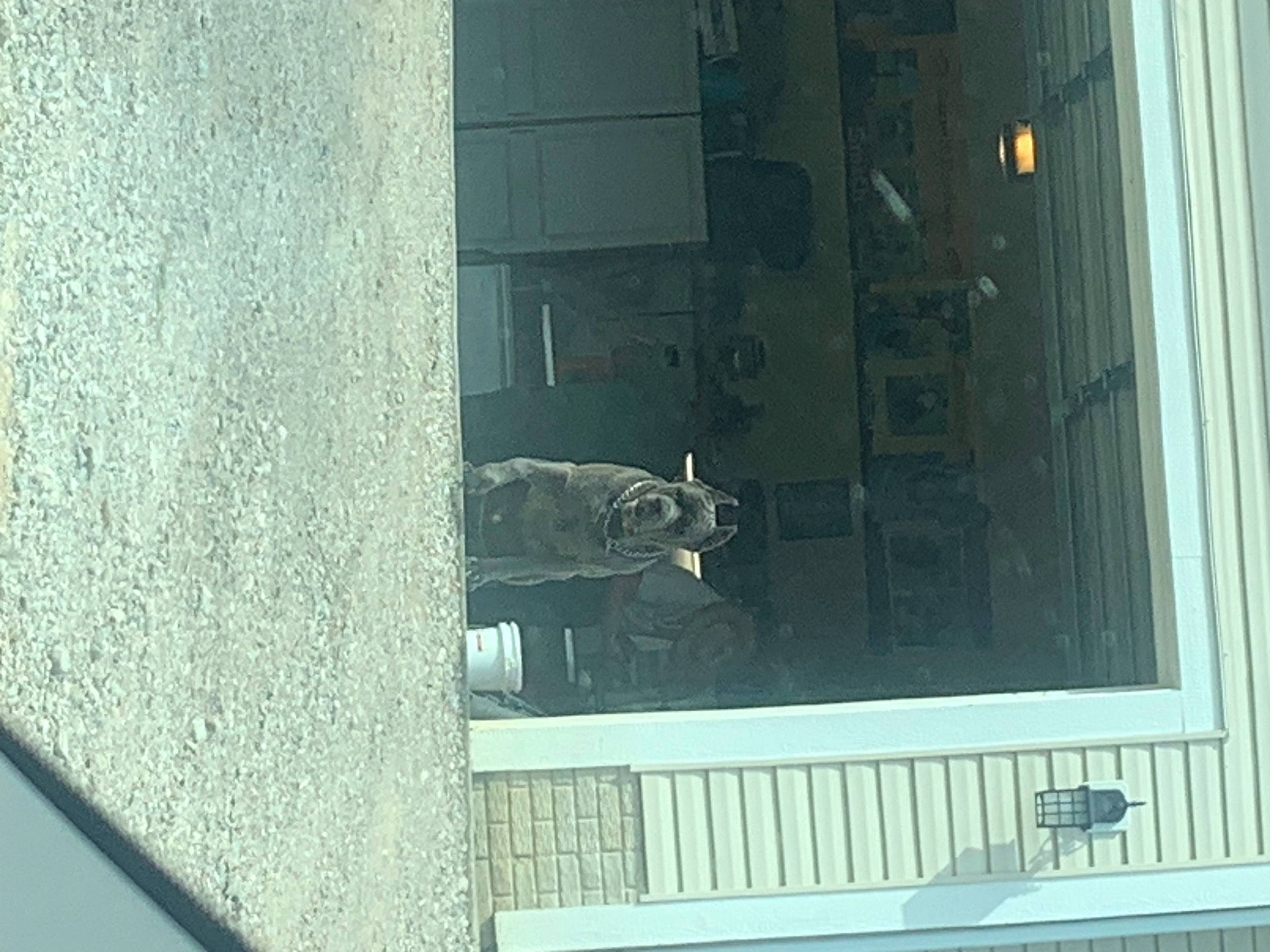 Sarge is registered to the contest to win money with this photo: auto_part, building, composite_material, concrete, facade, glass, machine, rectangle, reflection, room, sash_window, tints_and_shades, wall, window, wood