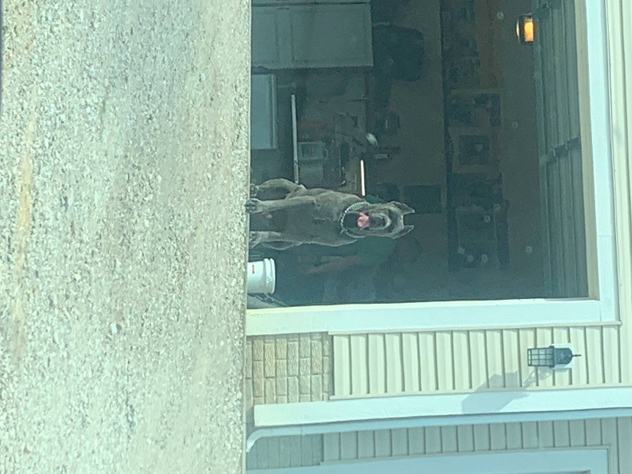 Sarge joined the competition — help win amazing prizes! asphalt, automotive_tire, bicycle_wheel, building, composite_material, concrete, facade, gas, glass, machine, metal, rectangle, room, sash_window, tints_and_shades, tire, vehicle_door, wheel, window, wood