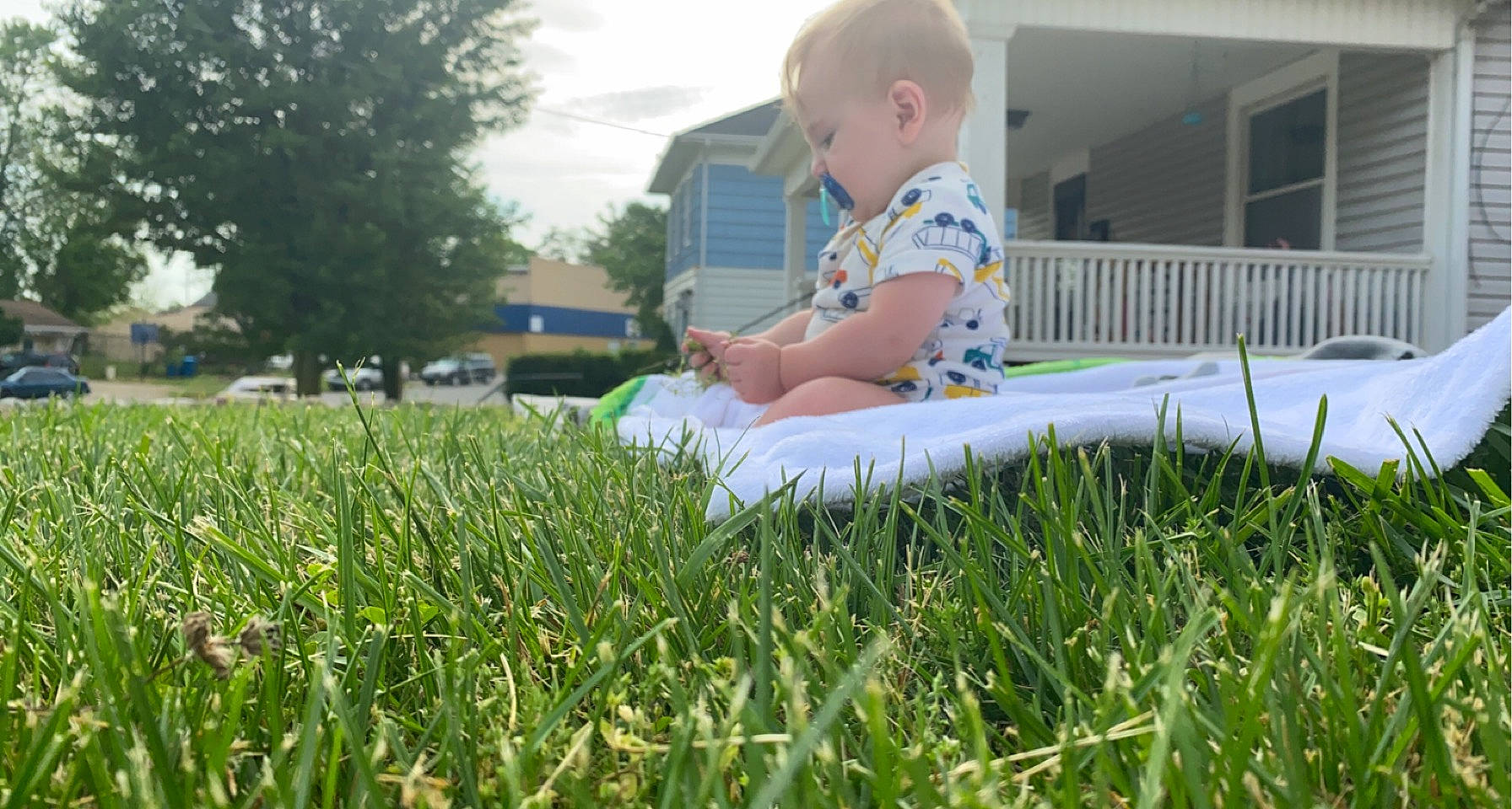 Enzo joined the competition — help win amazing prizes! baby, grass, grass_family, grassland, groundcover, happy, landscape, lawn, leisure, meadow, natural_environment, people_in_nature, person, plant, shorts, shrub, sky, sunlight, t_shirt, toddler