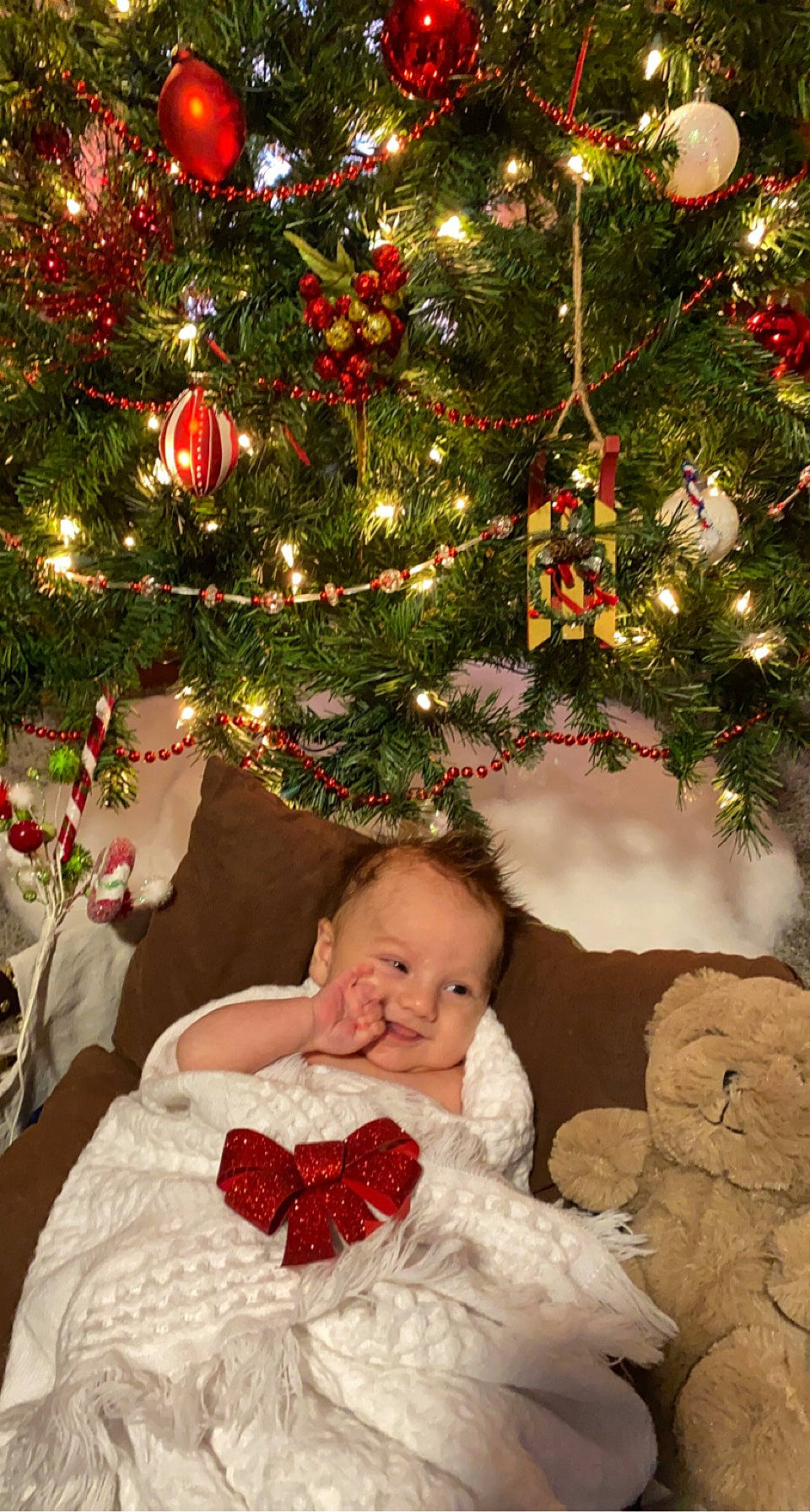 Enzo joined the competition — help win amazing prizes! child, christmas, christmas_decoration, christmas_eve, christmas_ornament, christmas_tree, conifer, event, fir, holiday, holiday_ornament, interior_design, ornament, person, pine, pine_family, plant, spruce, toddler, tradition