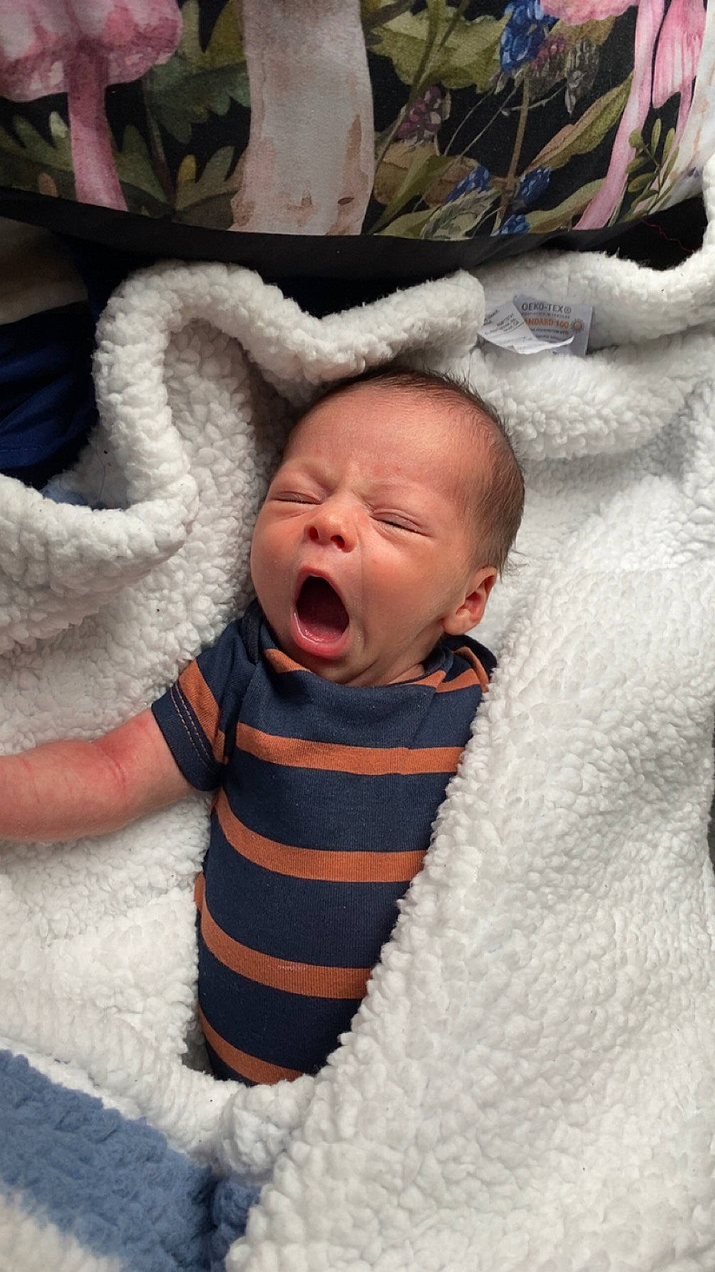 Elias is registered to the contest to win money with this photo: baby, baby_products, baby_sleeping, baby_toddler_clothing, bedtime, cheek, child, comfort, eye, fun, fur, happy, head, infant_bed, linens, nose, person, product, skin, sleeve