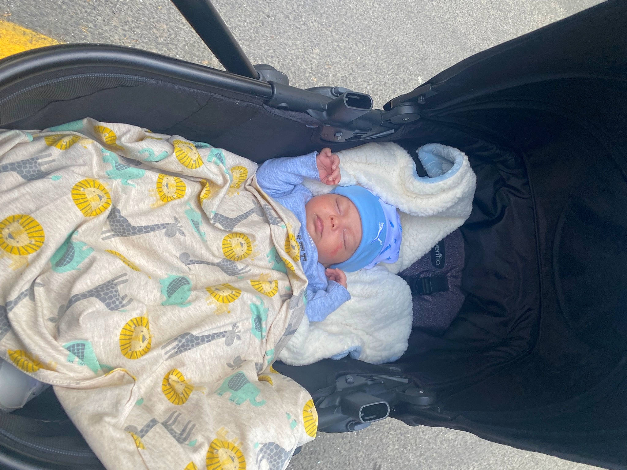 Elias joined the competition — help win amazing prizes! auto_part, baby, baby_carriage, baby_products, baby_safety, baby_toddler_clothing, bag, car_seat, child, comfort, electric_blue, fun, head, headwear, infant_bed, person, sitting, sleep, toddler, tree