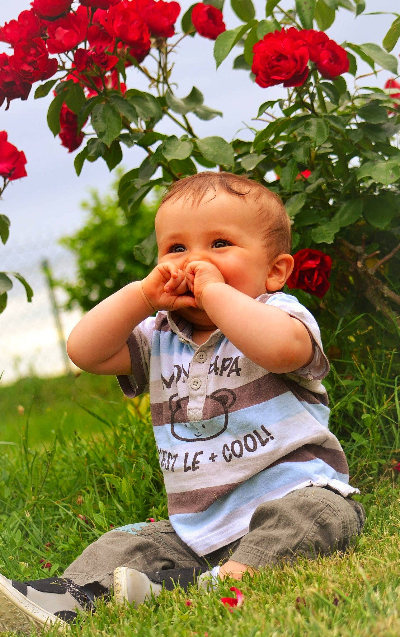 Erwan participe au concours pour gagner de l'argent avec cette photo : baby, cheek, child, flower, grass, happy, person, petal, plant, red, rose_family, smile, summer, toddler