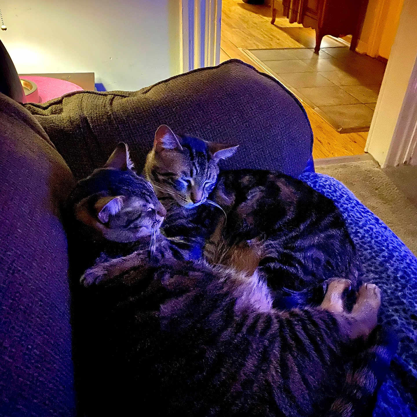 Kane And Abel