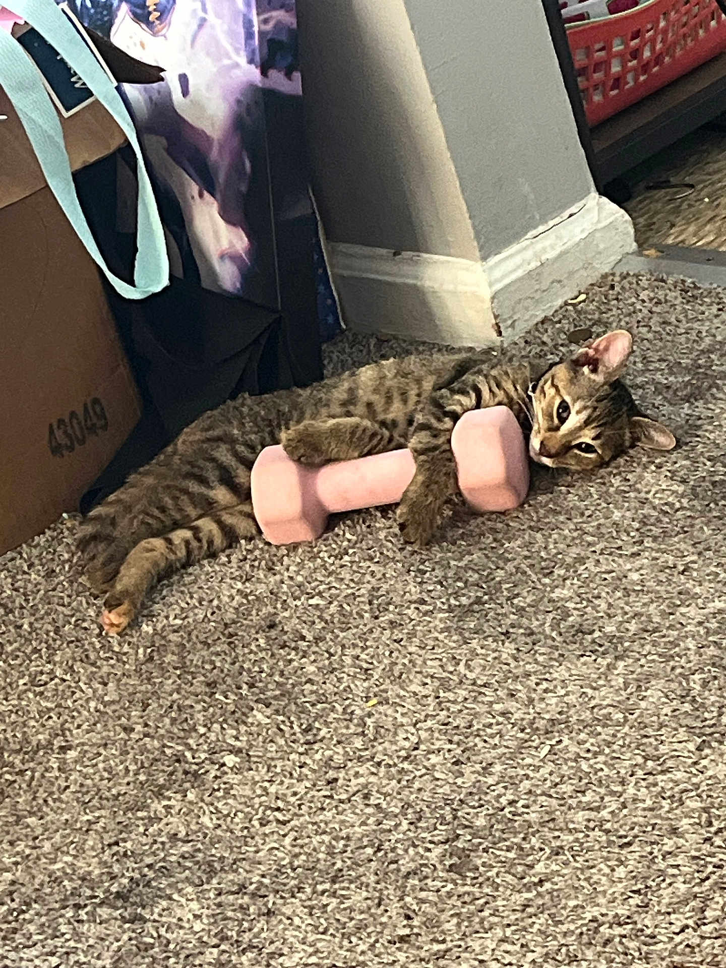 Peppa