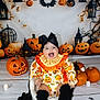 autumn_leaves, baby, black_bow, black_socks, celebration, child, costume, cute, decorations, festive, halloween, holiday, indoors, jack_o_lantern, lantern, orange, pumpkin, sitting, smiling, spooky