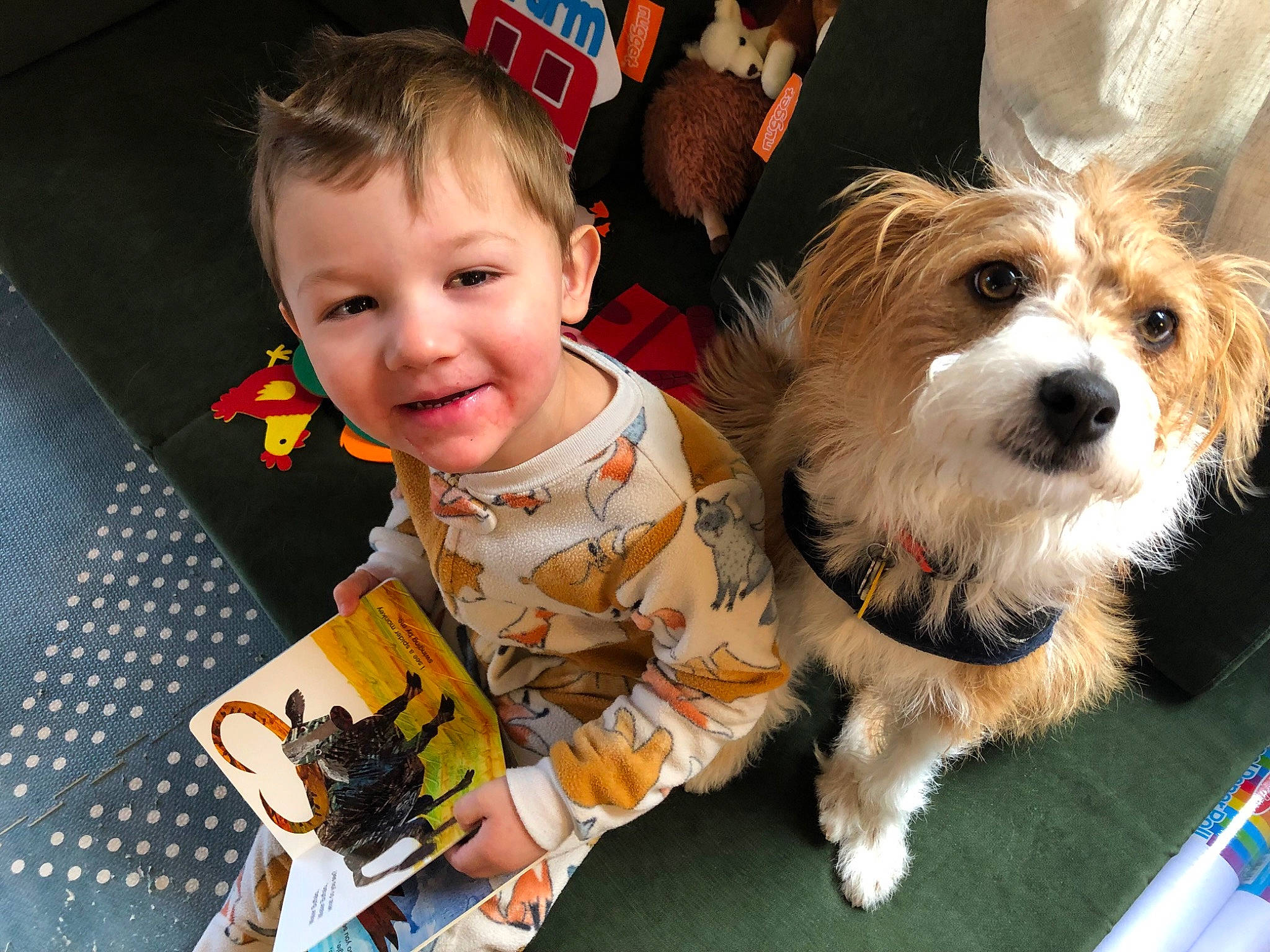 Hazel is registered to the contest to win money with this photo: canidae, carnivore, child, companion_dog, dog, dog_breed, dog_clothes, dog_supply, fun, fur, happy, holiday, leash, maltepoo, puppy_love, small_terrier, sporting_group, terrier, toddler, toy_dog