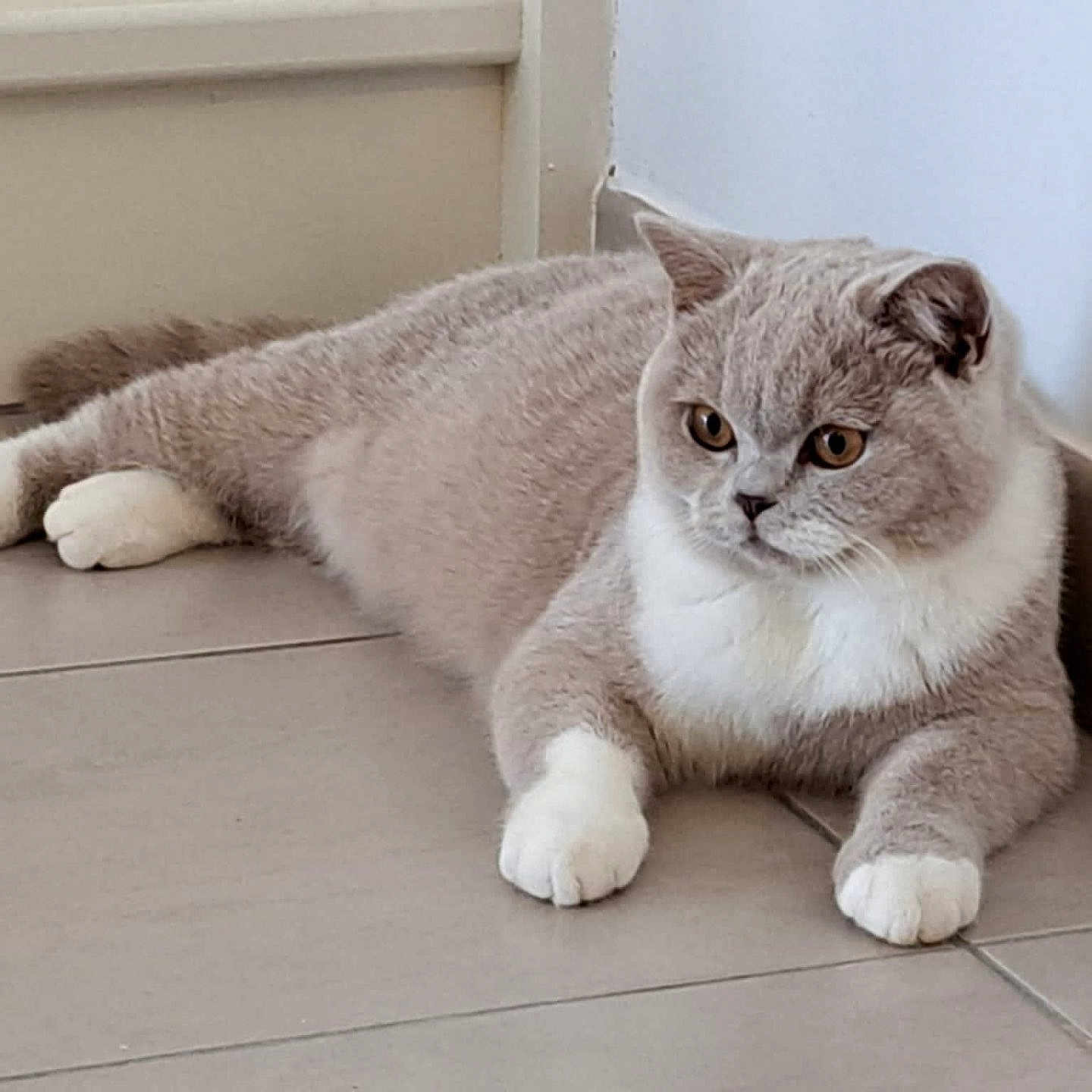 Una