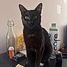 black_cat, cat, pet, indoor, desk, water_bottle, glass_bottle, popcorn, pill_bottle, cigarette_pack, headphones, computer_mouse, notebook, yellow_eyes, sitting, curious, feline, domestic_animal, table_surface, plain_wall