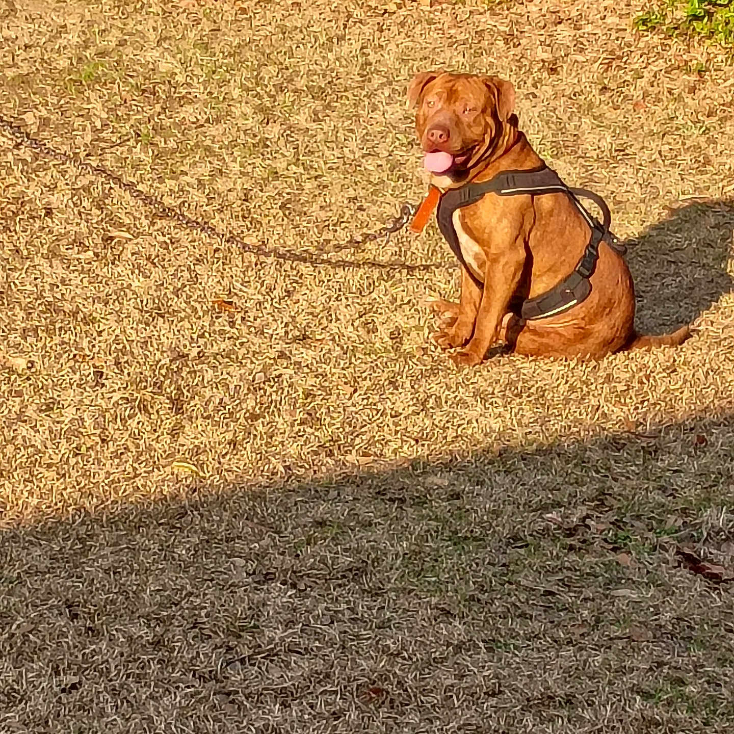 Big Baby