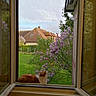 cat, window, open_window, radiator, flowering_bush, lilac, garden, house, roof, sky, clouds, green_grass, tree, outdoor, nature, pet, curious, orange_and_white_cat, framed_view, daylight