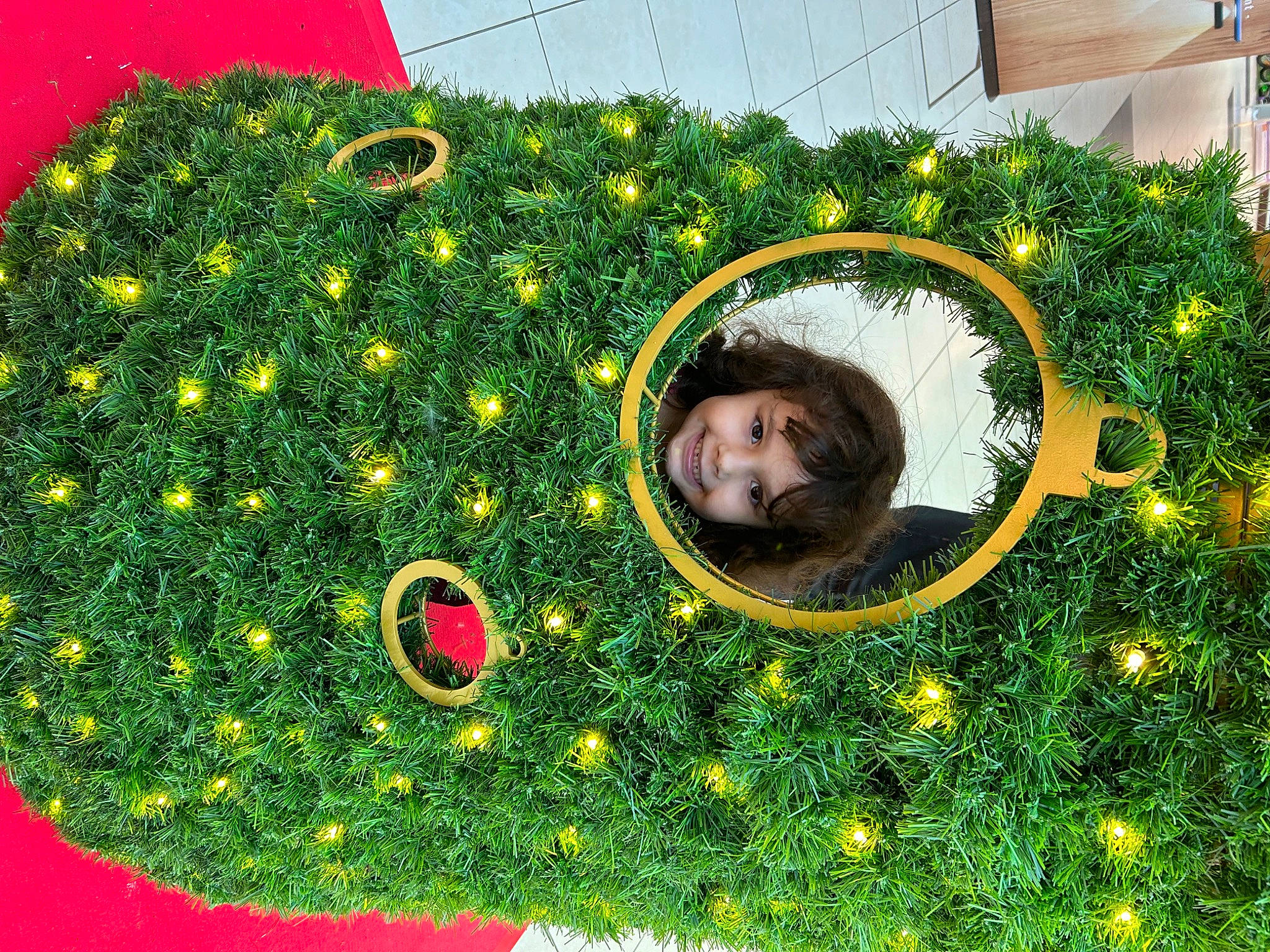 Elisa a rejoint le concours — aidez-le/la à gagner de superbes lots ! botany, christmas_decoration, christmas_ornament, circle, evergreen, flooring, fun, grass, grass_family, green, groundcover, happy, holiday, joy, lawn, nature, people_in_nature, person, picture_frame, plant