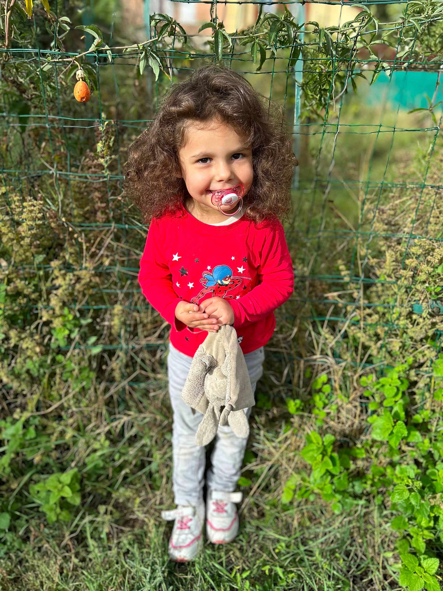 Elisa