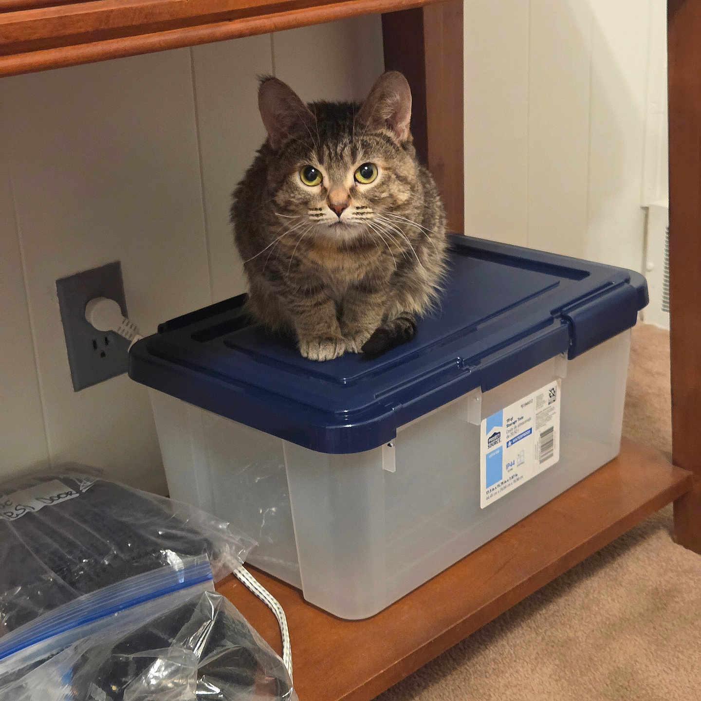 Nala
