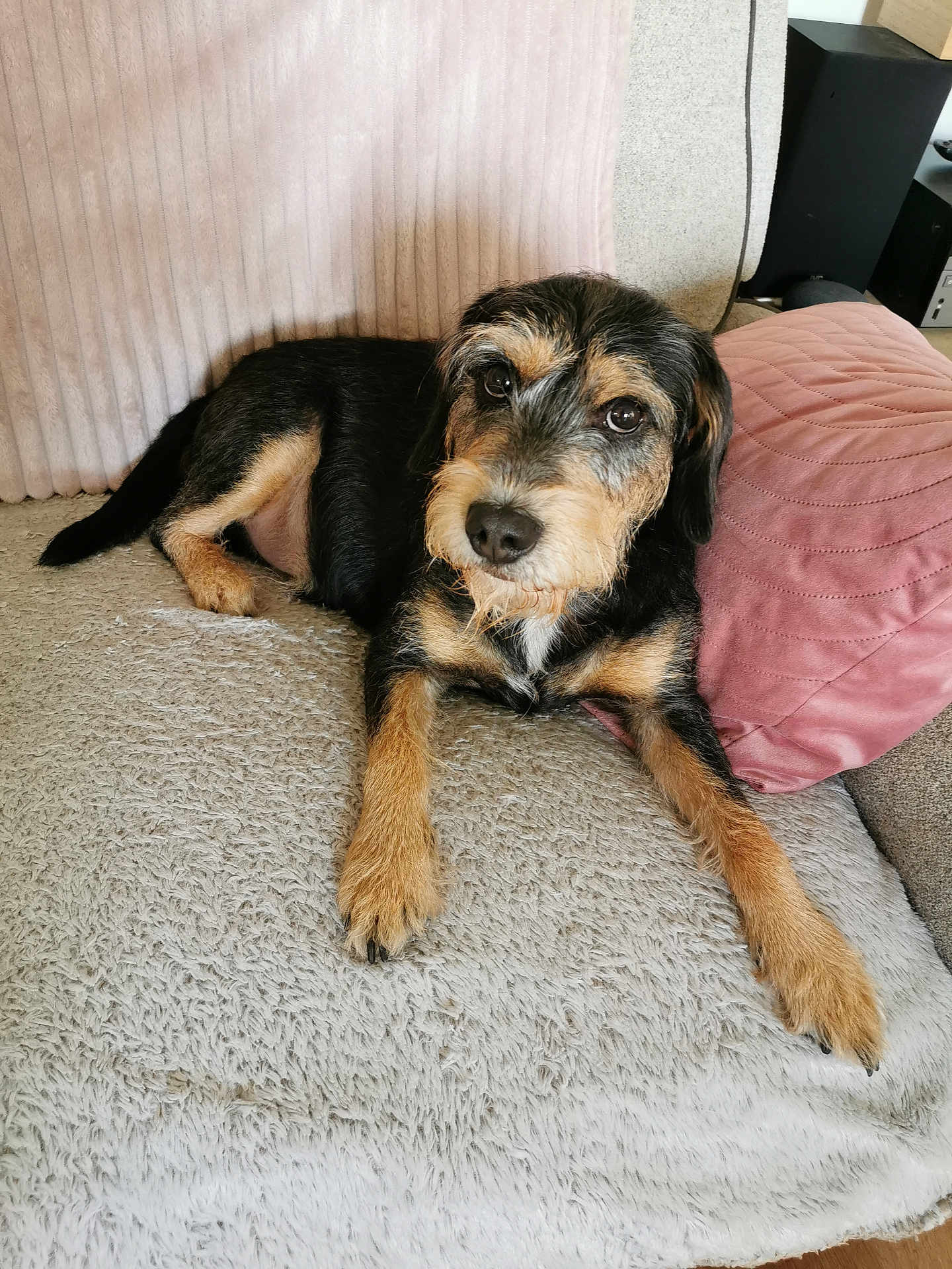 Sam