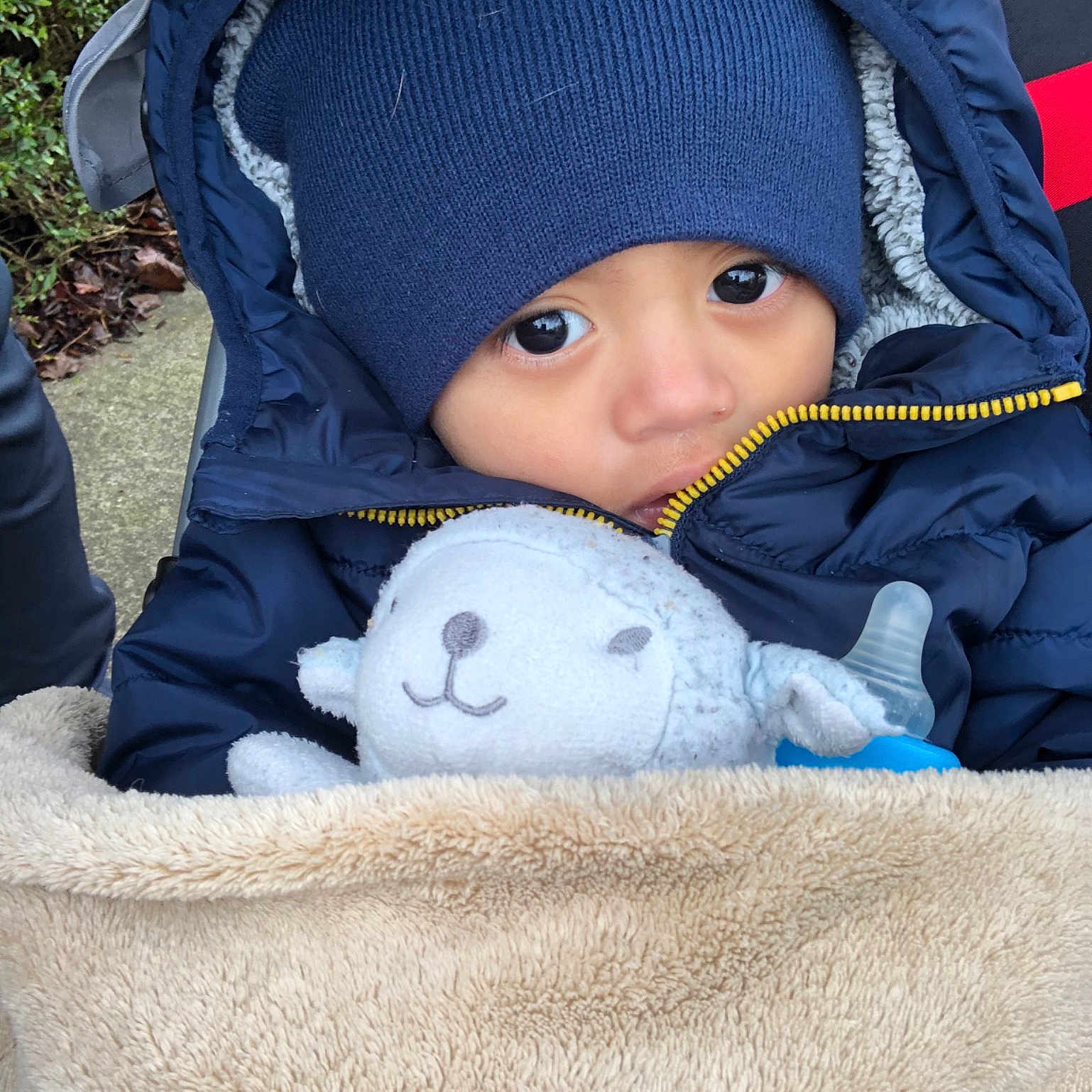 Carlos is registered to the contest to win money with this photo: baby, blue, child, headgear, knit_cap, skin, smile, toddler, winter