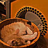 cat, cozy, curled_up, cute, decor, domestic_animal, fur, furniture, household, indoor, mirror, pet, relaxation, rest, sleeping, sunglasses, table, wood, wooden_bowl, yellow_wall