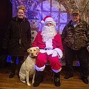 Misty joined the competition — help win amazing prizes! backdrop, boots, coat, costume, dog, festive, glasses, group, hat, holiday, indoor, labrador, person, posing, santa_claus, smile, snowman, stage, winter, wood_floor