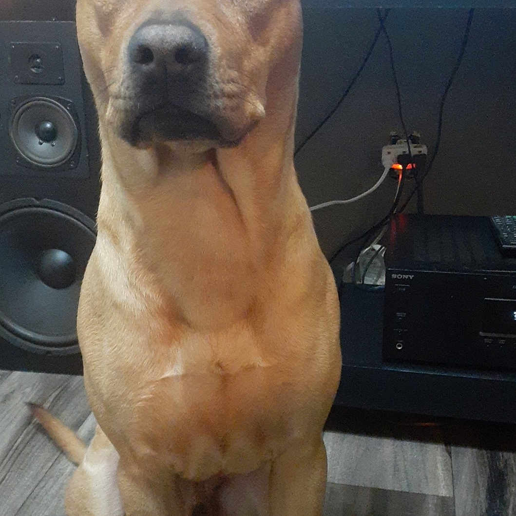 Roscoe