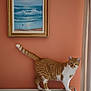 Owen participe au concours pour gagner de l'argent avec cette photo : cat, orange_cat, white_cat, radiator, wall, painting, frame, indoor, pet, animal, curious, standing, feline, home, decor, portrait, fur, tail, ears, eyes