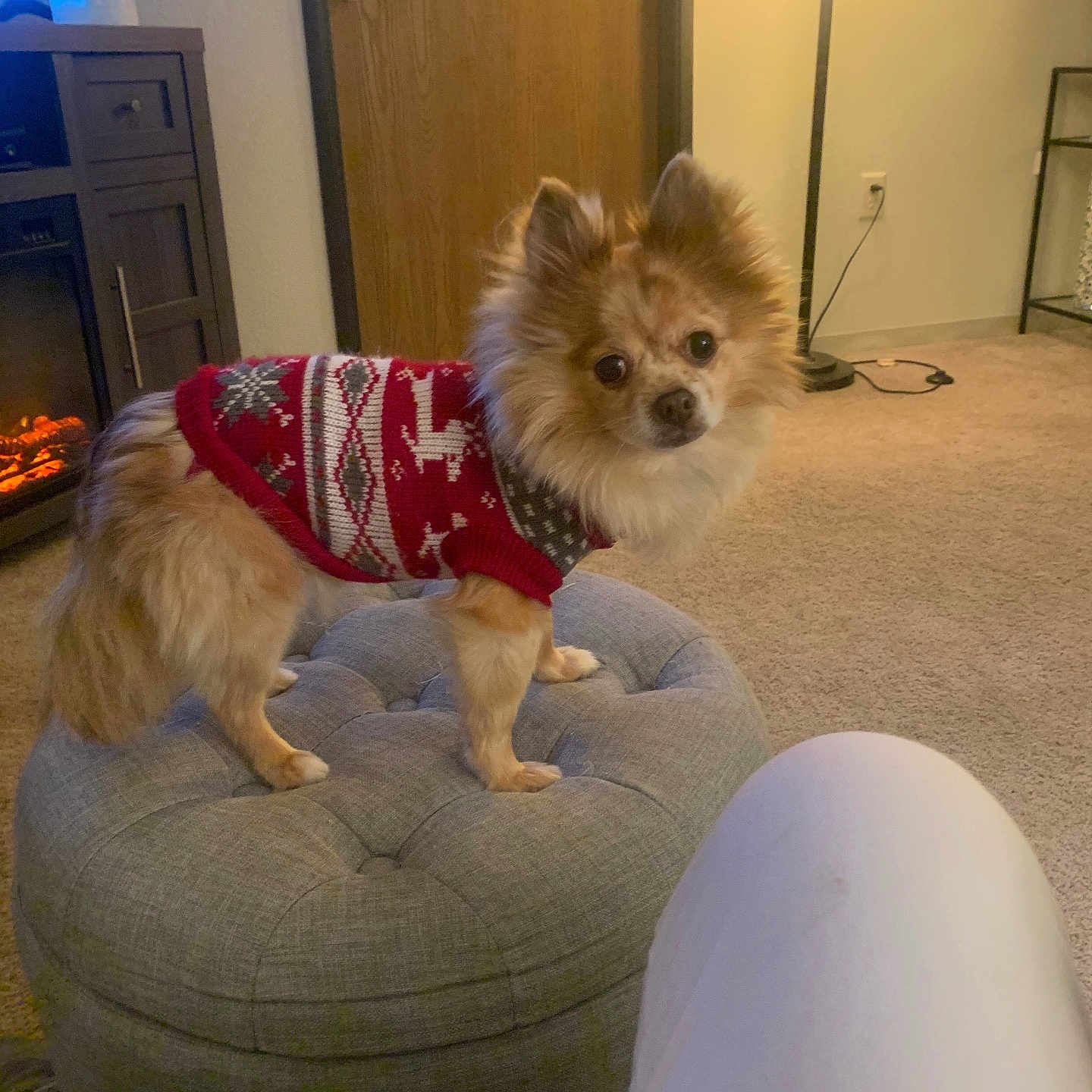 Mindy