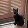 Binx