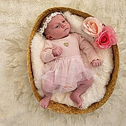 Luna participe au concours pour gagner de l'argent avec cette photo : baby, basket, clothing, cozy, cute, decorative_flowers, flower_headband, fluffy_blanket, headband, infant, lying_down, newborn, peaceful, pink_dress, portrait, roses, skin, sleepy, small_feet, soft_texture